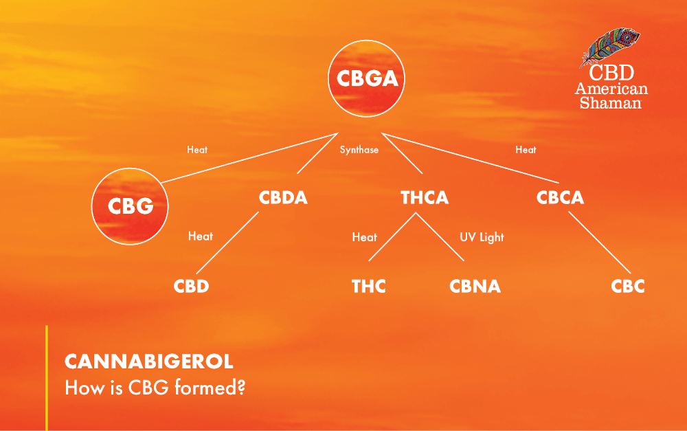 how-is-cbg-made