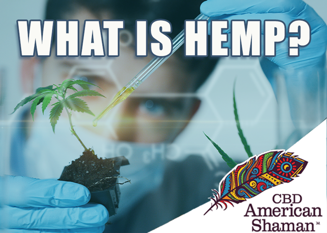 What Is Hemp?