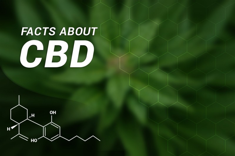 Can Someone Be Allergic To CBD?