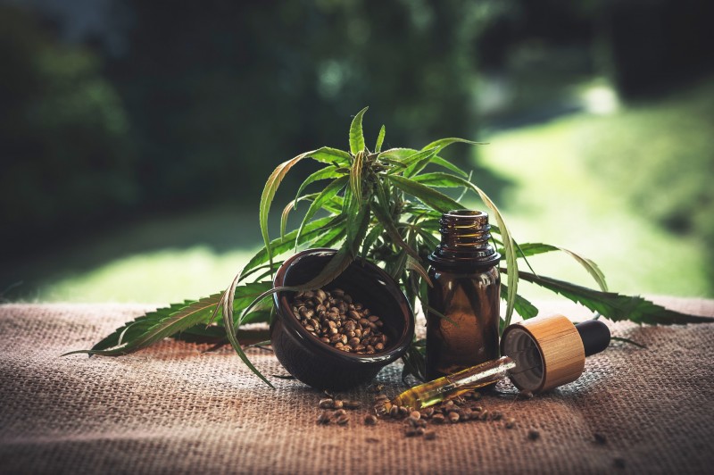 Top 10 CBD Facts: Understanding CBD