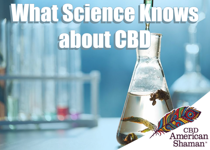 CBD Research: What Science Knows About CBD