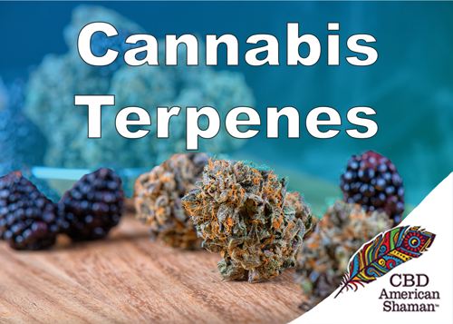 terpene profile