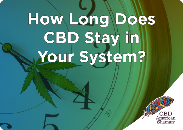 How long does CBD Stay in your System