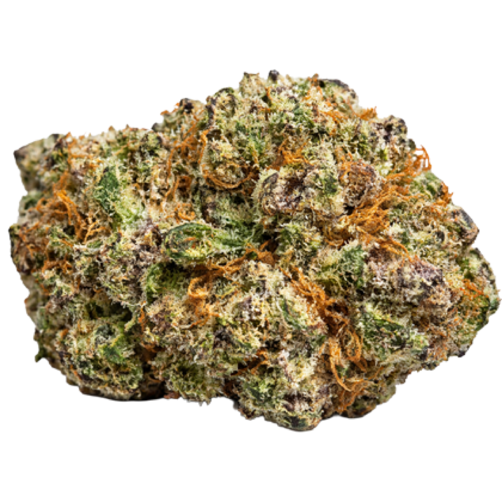 Milk Weed Strain