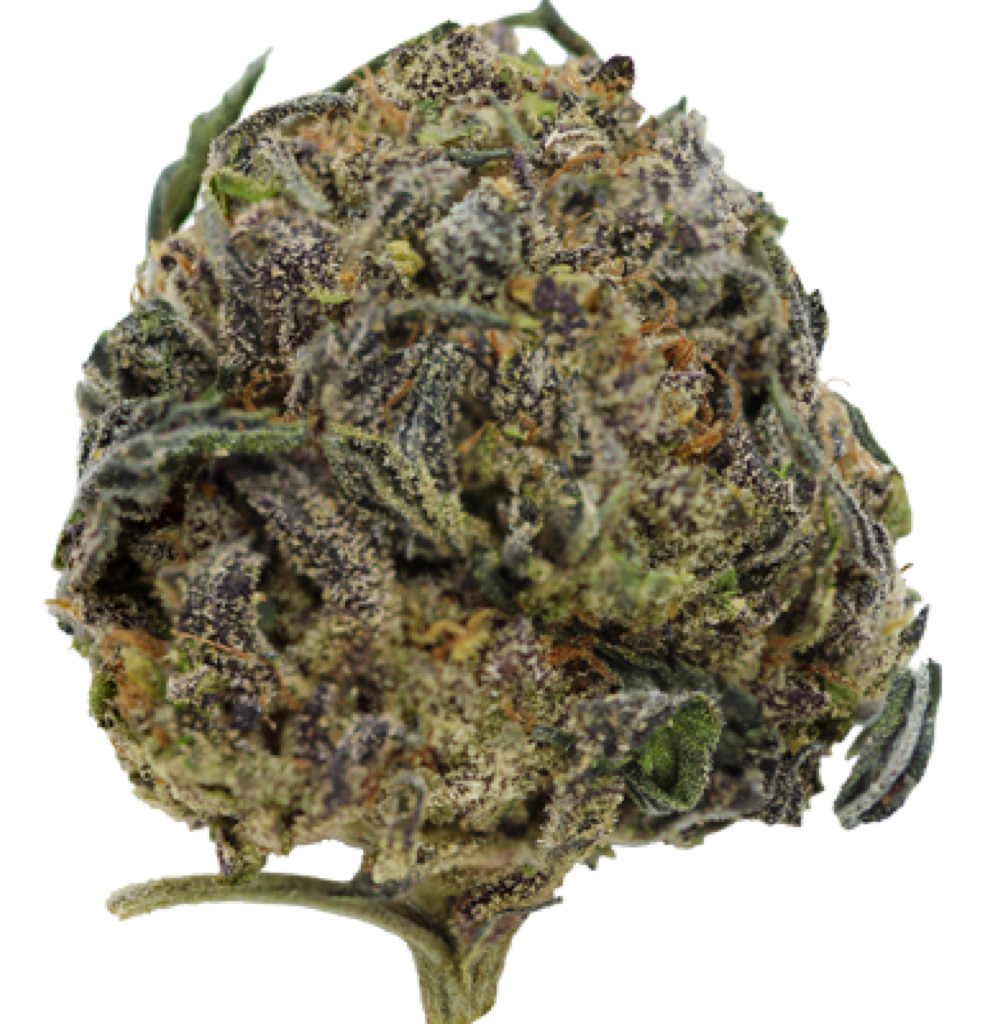 Joker Strain