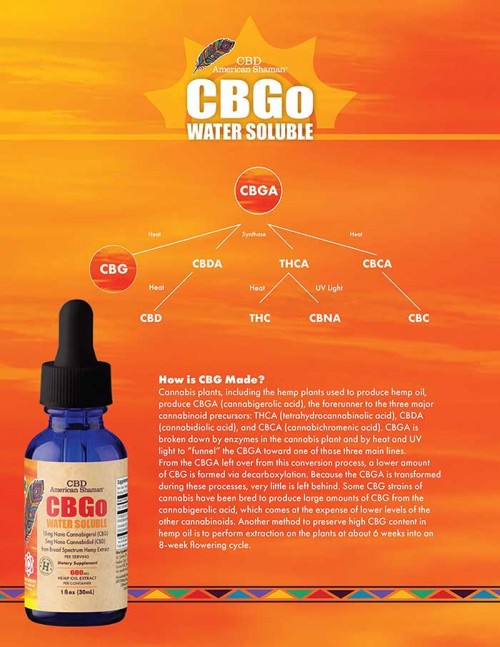 CBGO One Sheet