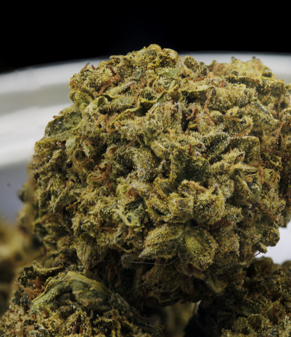 Gelato 41 Weed Strain - Near Expiry 