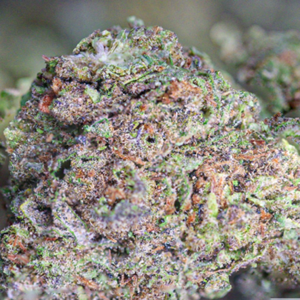 Peppermint Kane Weed Strain