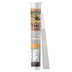 White Miso Strain
