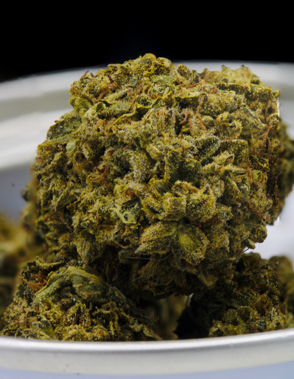 Ice Cream Cake Weed Strain - Near Expiry 