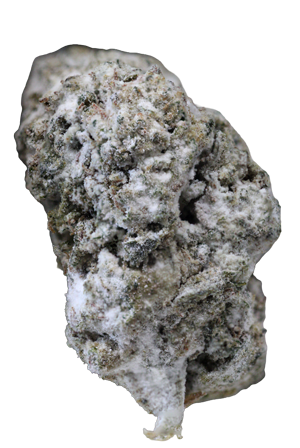 THCA Snow Caps Lemon Cherry Gelato Strain - Near Expiry 