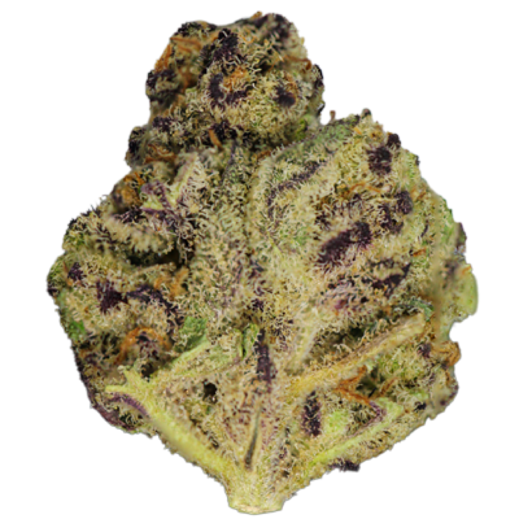 Grape Cream Weed Strain