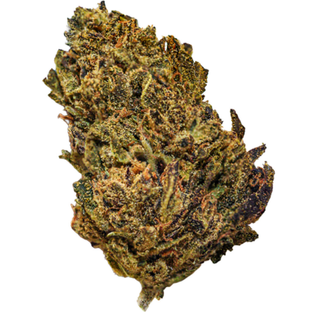 Gold Rose Runtz Weed Strain