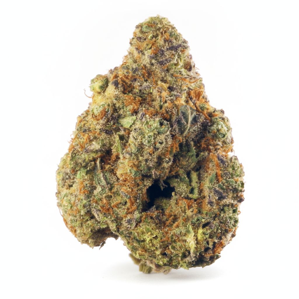 Stardawg Strain