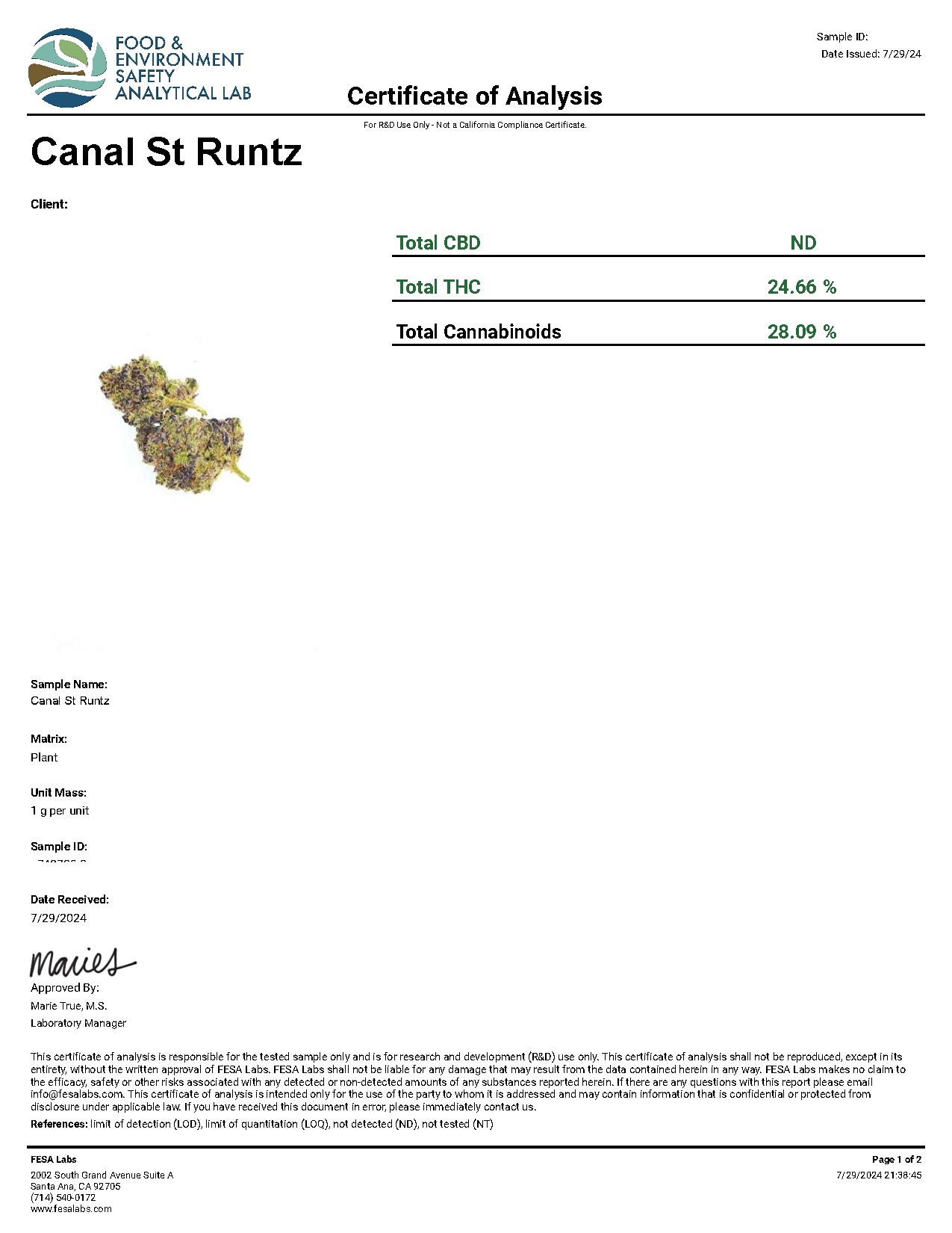 Report Image