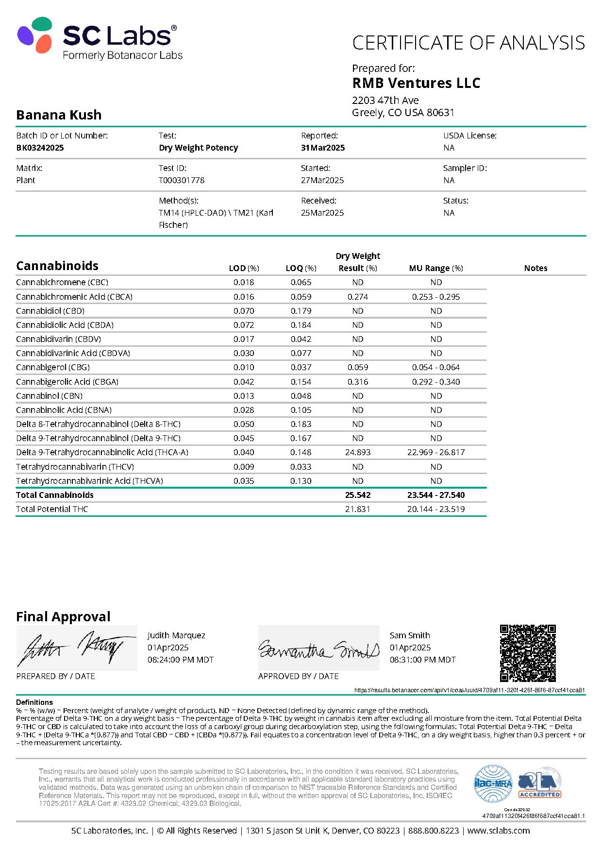 Report Image