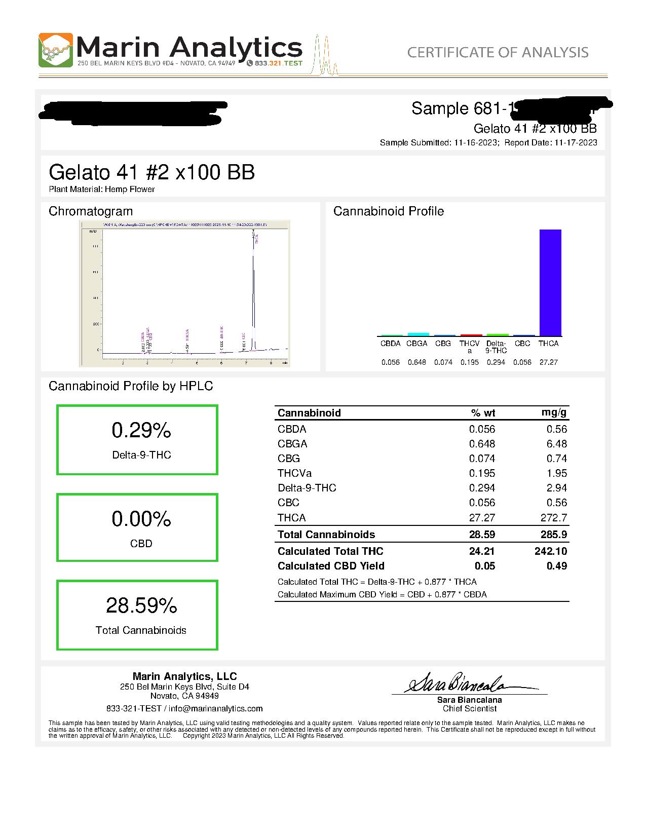 Report Image
